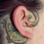 kulak dovmesi (2)-18c.jpg